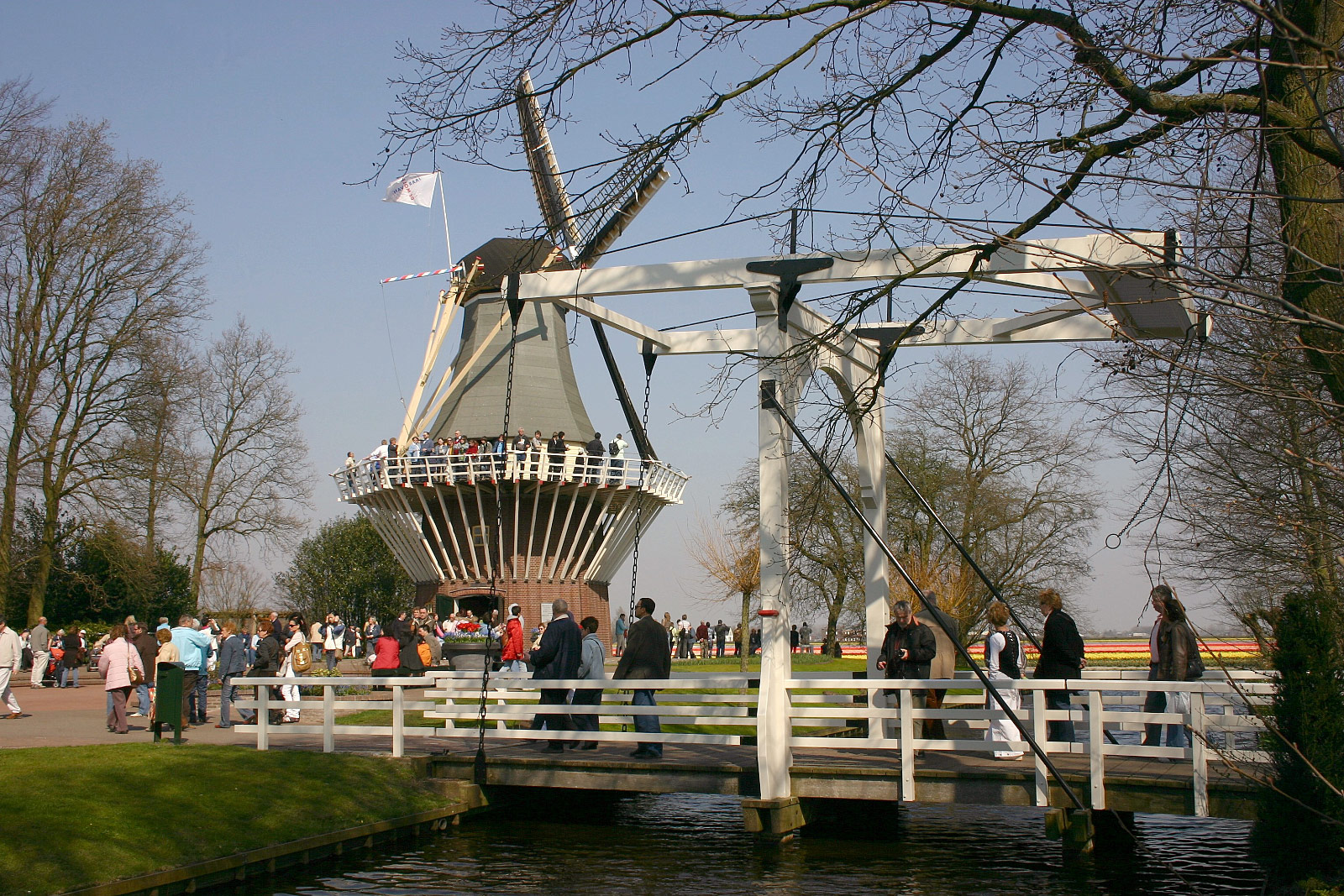Keukenhof, Lisse